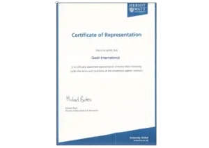 12-removebg-preview-1-300x213