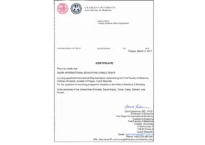 2-removebg-preview-1-300x213