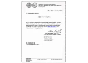 3-removebg-preview-1-300x213